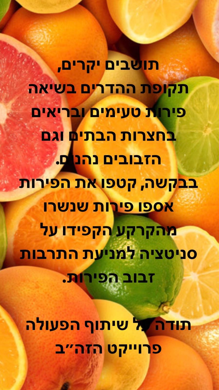 פרוספקט הדרים פרוספקט הדרים