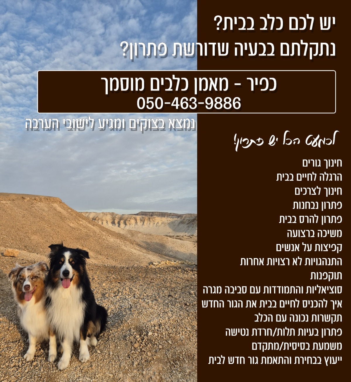 כפיר רוטנברג מאלף כלבים