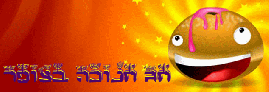 חנוכה בצופר דצמבר 2014(16 תמונות)
