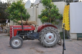 שבועות בצופר 2015(87 תמונות)
