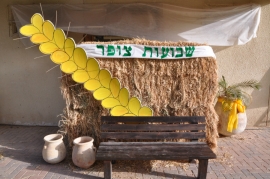 שבועות 2014-תמונות משפחתיות מחברת מגנצ'יק(203 תמונות)
